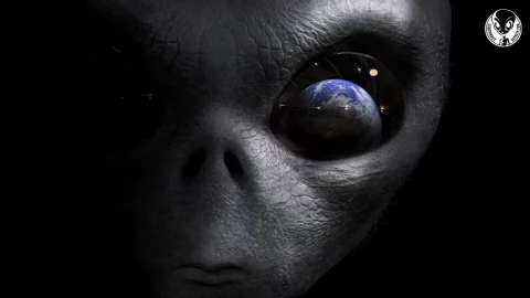 ALIENS ARE WORKING WITH THE U.S. GOVERNMENT, aliens, alien, ufo, area51, ufos, space, scifi, extraterrestrial, aliens are real, ufo sighting, ufology, ancient aliens, xenomorph, alien abduction, nasa, ufologia, extraterrestrials, universe, ufo sightings