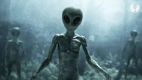 Top 5 Unsettling Alien Abductions That Will Make You Fear The Night Sky, aliens, alien, ufo, area51, ufos, space, scifi, extraterrestrial, aliens are real, ufo sighting, ufology, ancient aliens, xenomorph, alien abduction, nasa, ufologia, extraterrestrials, universe, ufo sightings,