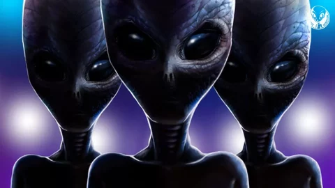 We Are Food And They Are Hungry UFO Fictional Story, aliens, alien, ufo, area51, ufos, space, scifi, extraterrestrial, aliens are real, ufo sighting, ufology, ancient aliens, xenomorph, alien abduction, nasa, ufologia, extraterrestrials, universe, ufo sightings,